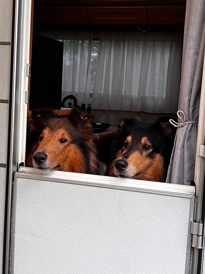 1. Platz Zum Camping Auf Der Il-ranch - Neustadt