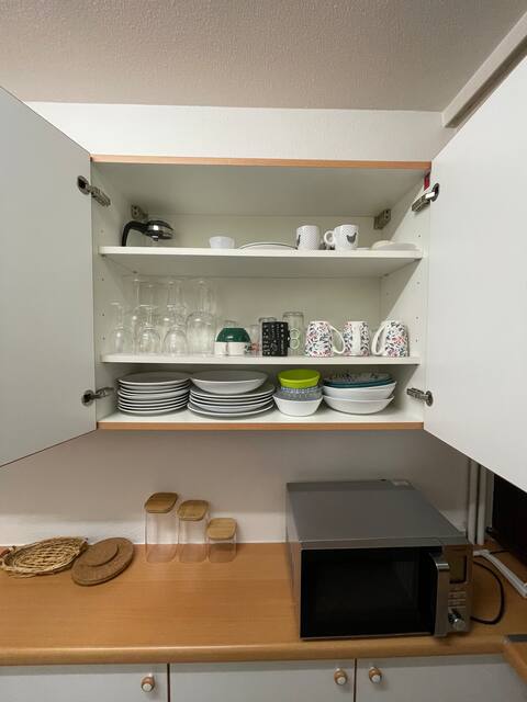 Airbnb performant: Spacious apartment close to UN à Ferney Voltaire