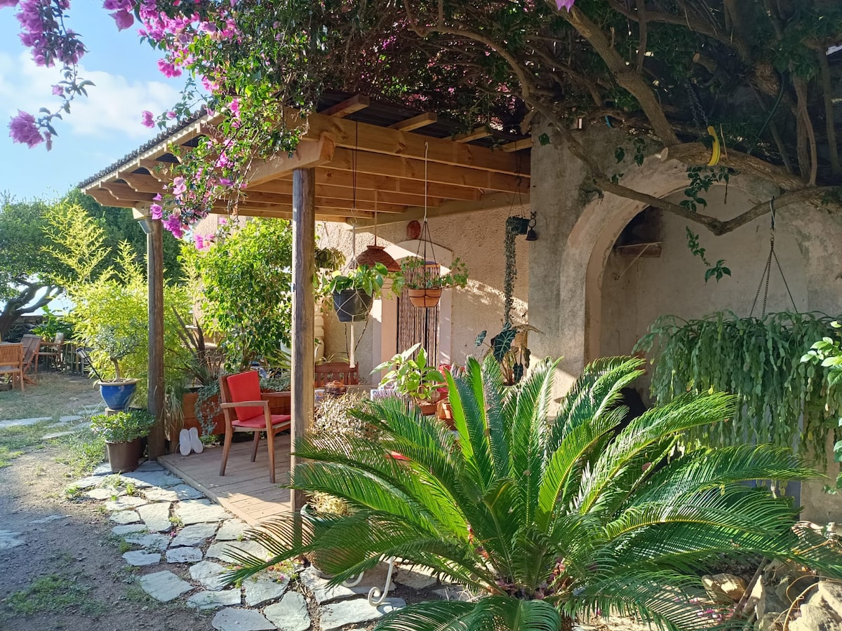 A shaded patio area is supported by wooden beams, decorated with hanging plants and potted flowers. Bright red chairs invite relaxation, surrounded by lush greenery and stone pathways. A vibrant bougainvillea cascades over the structure, enhancing the tranquil outdoor space.