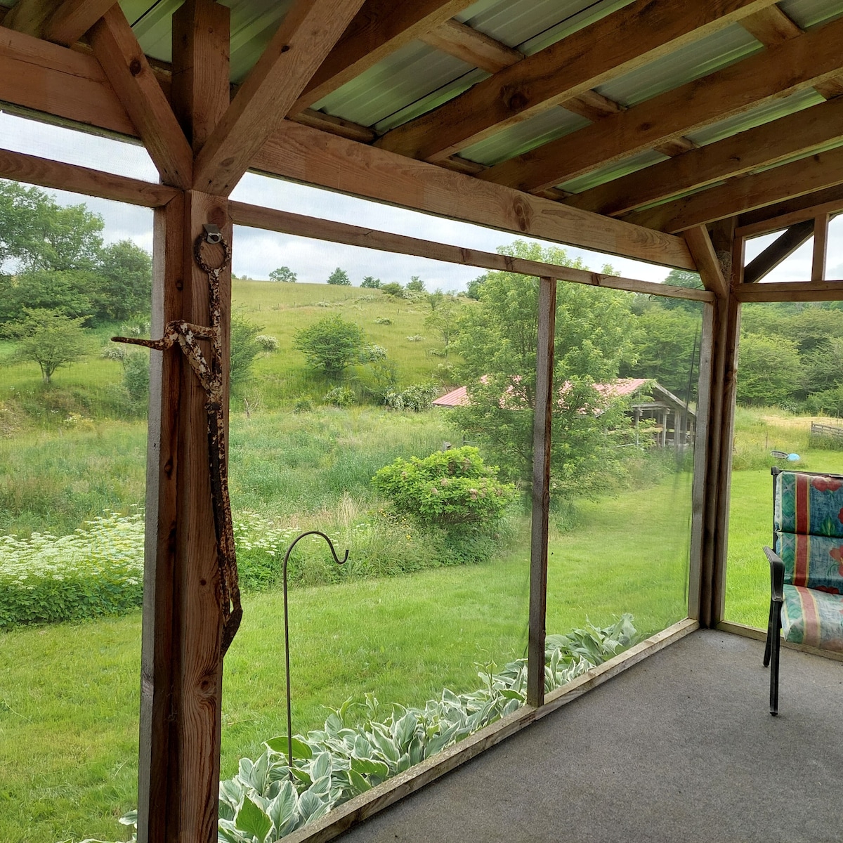 A screened porch offers a view of lush green fields and trees, creating a serene outdoor setting. A single chair with patterned fabric is positioned on a carpeted floor. The natural light filters through the screens, enhancing the tranquil atmosphere.