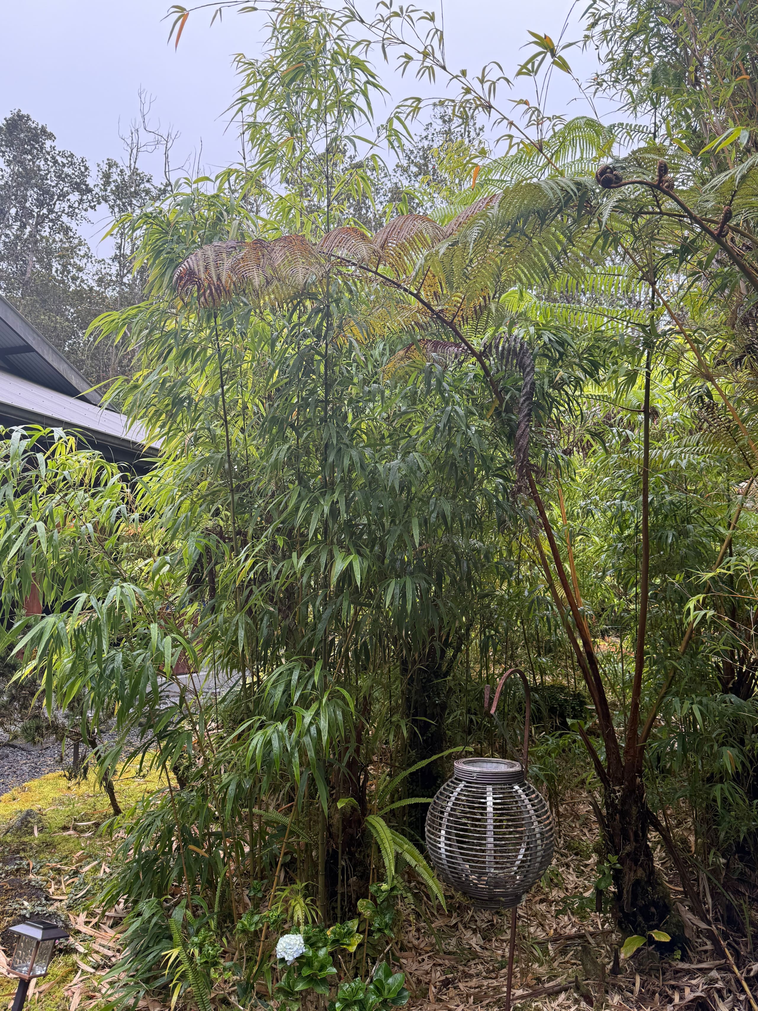 Volcano Tea House Cottage-SpaBath-HotTub-FirePlace - Image 49