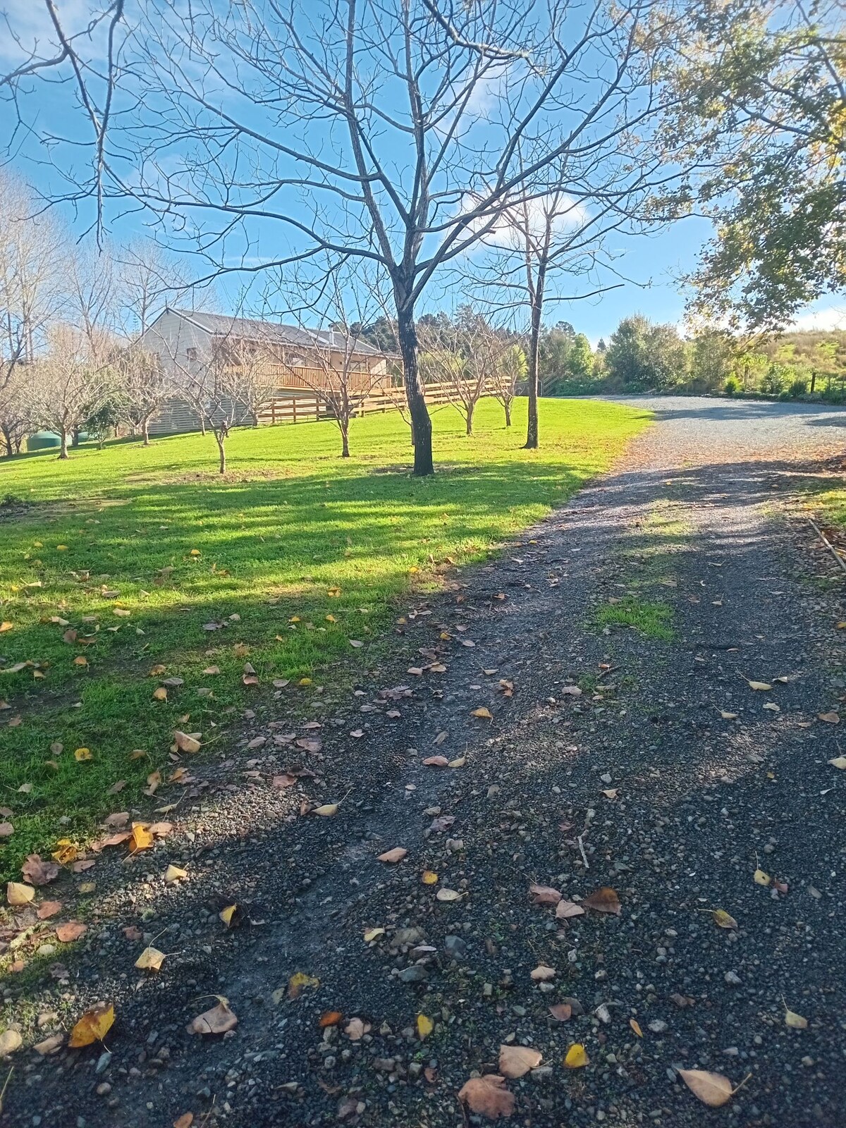 A well-maintained gravel driveway is bordered by grassed areas and scattered trees. Sunlight creates a dappled effect on the ground, while the property’s structure is visible in the distance among the greenery. Fallen leaves add a touch of seasonal charm to the pathway.