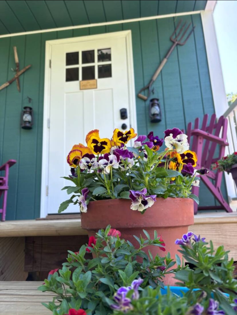 A welcoming entrance features a bright blue-green exterior with a white door. Pansies in warm colors are showcased in a terracotta pot on the porch steps, complemented by smaller flowers. Wooden rocking chairs and two lanterns flank the door, enhancing the inviting appeal.