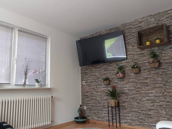 Ferienwohnung Familie Hins - Bad Peterstal-Griesbach