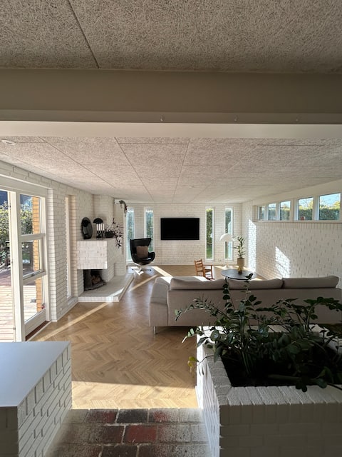 Family oasis near the beach, nature and city life