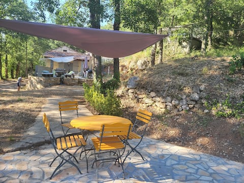 Small house in the forest
