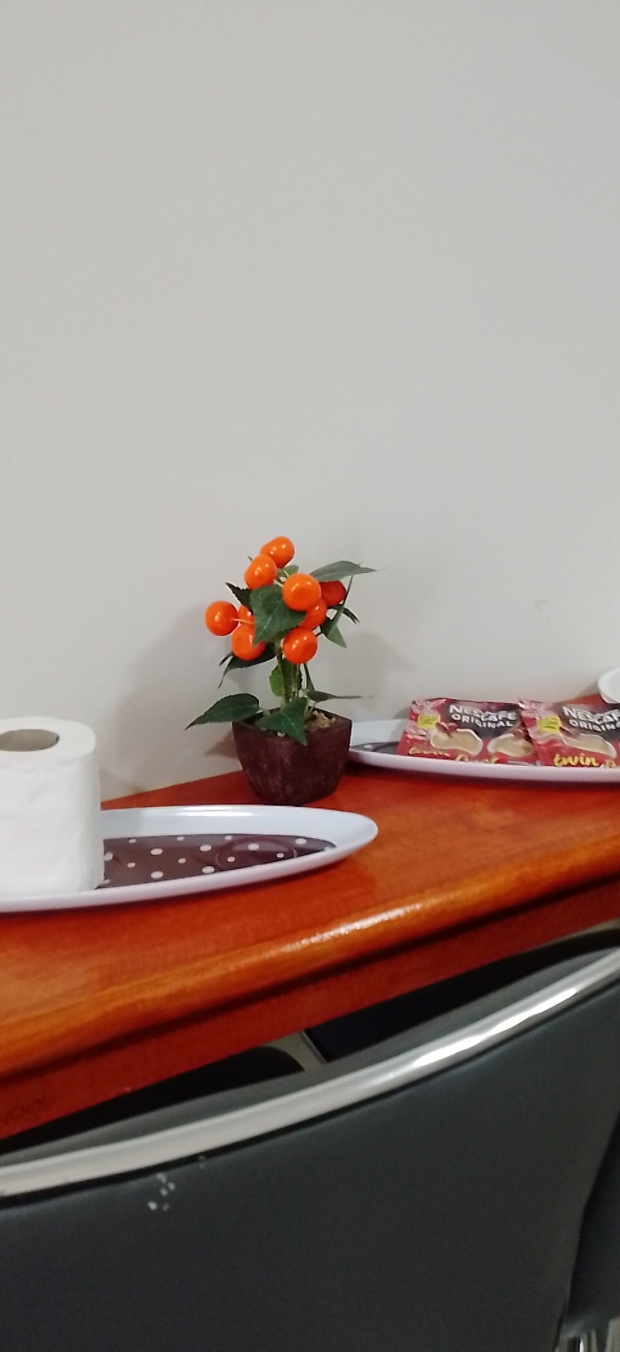 A wooden countertop displays a decorative plant with bright orange fruits. Nearby, a roll of toilet paper is positioned next to a plate of snacks, complemented by a small serving tray featuring a chocolate dessert.