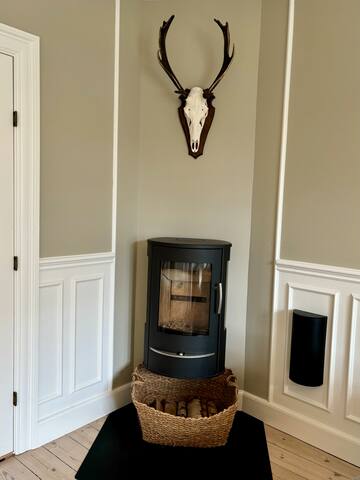 Beautiful spacious centrally located apartment gallery image 3