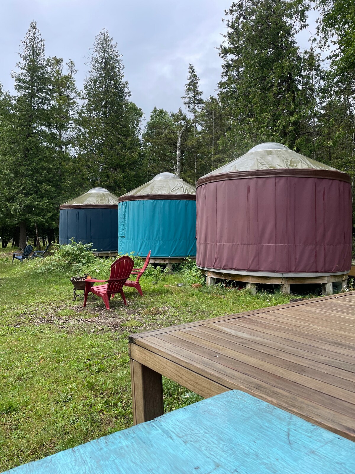 ◆YURT◆ Doux [YB326_IV] Cedar Thirty — Smiling Woods Yurts