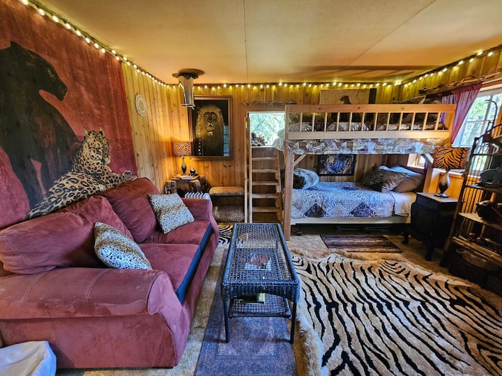 Tiny Safari Cabin By Mt. Rainier - Ashford, WA