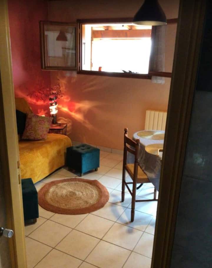 Gîte De Gascogne.
Vue  Pyrénées  400 M Du Centre . - Lectoure