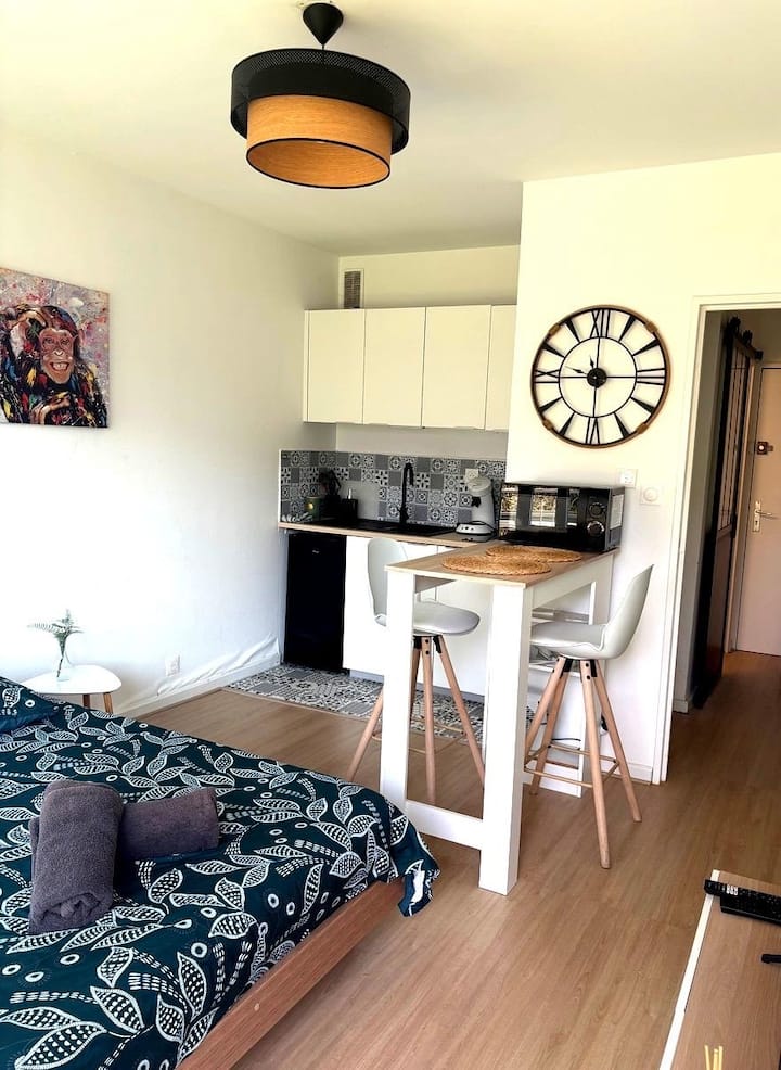 Au Cosy Studio Ii Proche Europapark - Erstein