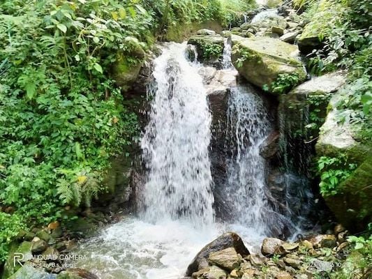 A gentle stream cascades over smooth rocks, creating a small waterfall surrounded by lush, green foliage. Sunlight filters through the leaves, casting dappled light on the water, which flows into a rocky bed dotted with various stones.