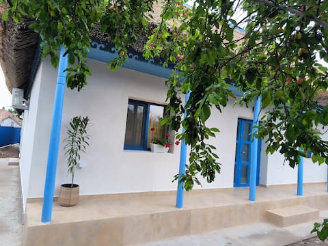 Casa lui Matei Murighiol#2