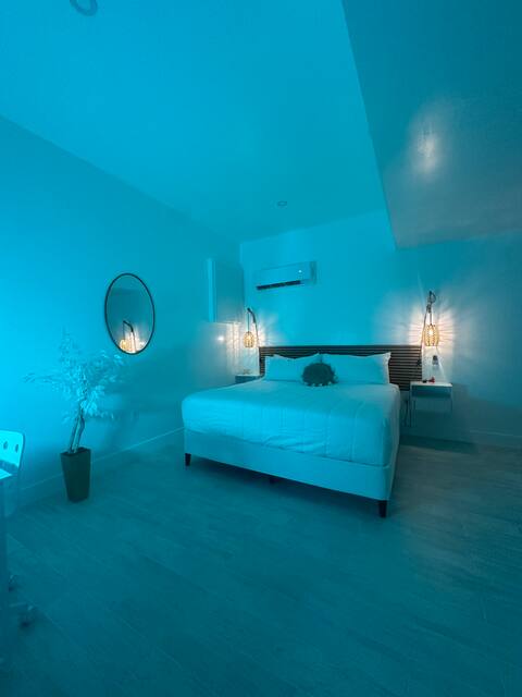 Luxury Apartment “The Hidden Gem” in a big city!