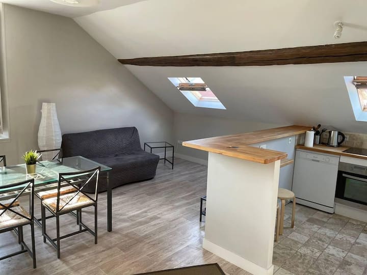 Magnifique Appartement 203 - Fontainebleau