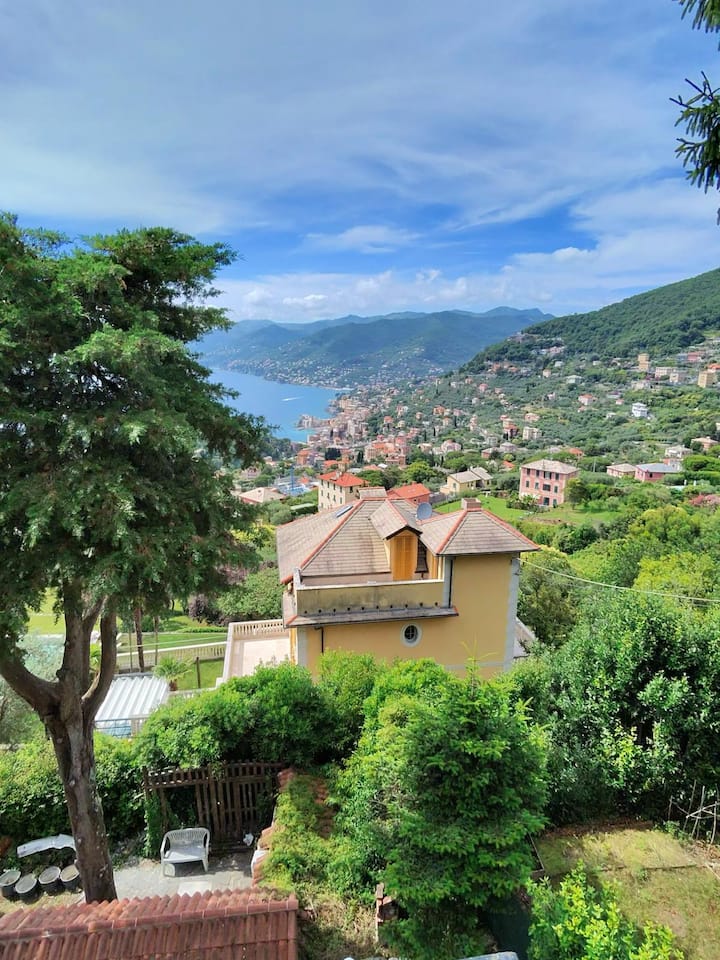 Launis House - Appartamento Con Vista A Camogli - Camogli