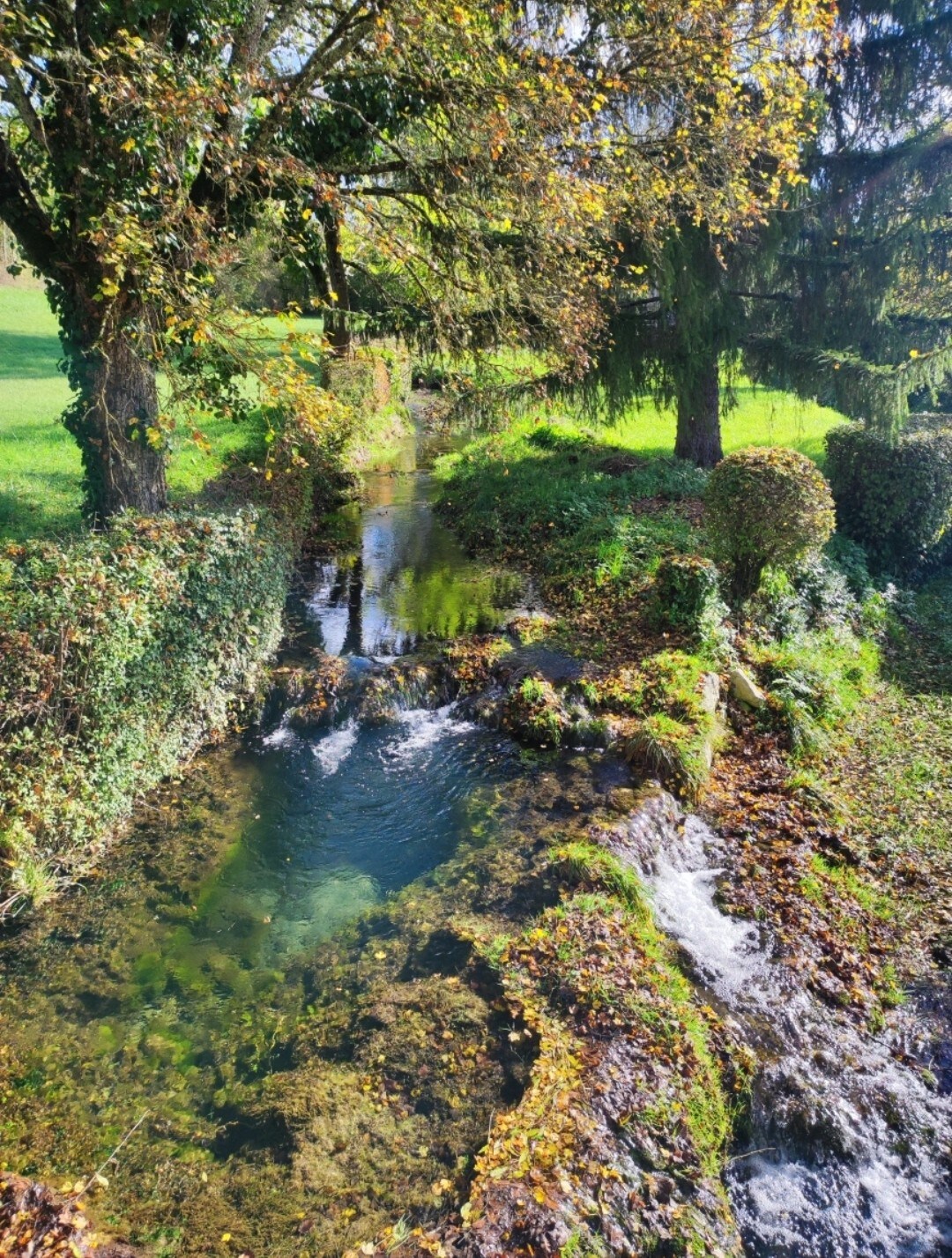 A gently flowing stream winds through lush greenery and colorful foliage. The water reflects the surrounding trees and plants, indicating a serene natural setting. The banks are lined with low hedges and autumn leaves, suggesting the change of seasons in this tranquil landscape.