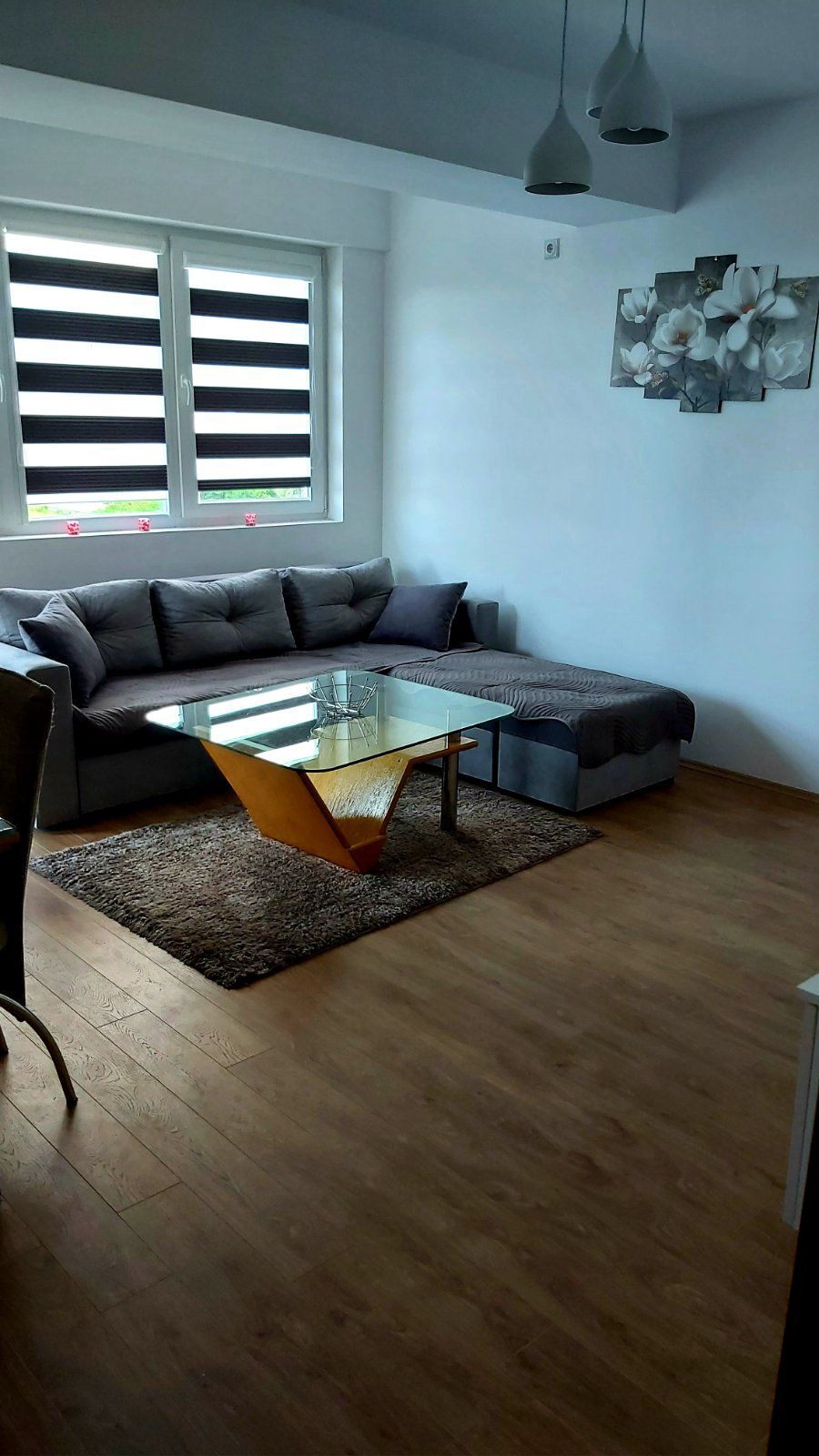 A modern living space features a sectional sofa positioned beside a glass coffee table on a textured area rug. A floral wall art piece adds a decorative touch, while large windows with striped shades allow natural light to fill the room.