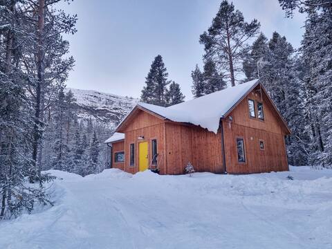 Mountain cabin in Funäsdalen