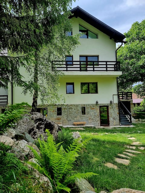 Bran Castle nearby villa-8Bedrooms