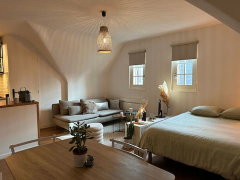Airbnb performant: Studio in the middle of Vannes à Vannes