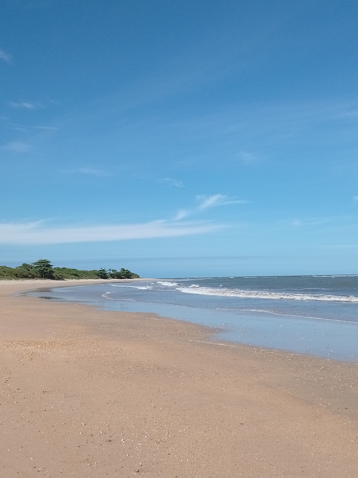 A sandy beach stretches alongside calm waves gently lapping at the shore. The sky is clear and blue, with unobtrusive clouds, while lush greenery forms a natural border at one end of the beach. The tranquil scene invites relaxation.