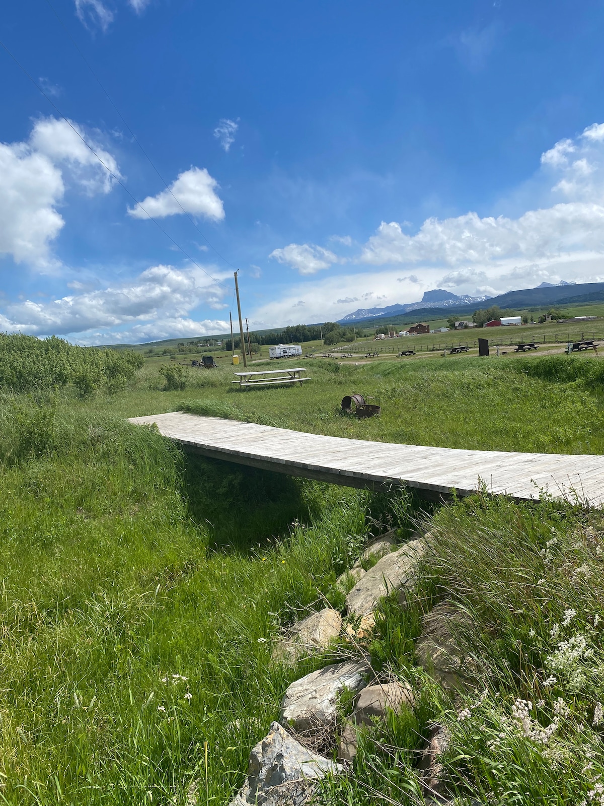 A wooden bridge leads across a small dip in a grassy landscape, surrounded by tall green grass and wildflowers. In the background, picnic tables and tents are visible against a clear blue sky dotted with fluffy clouds, with distant mountains framing the scene.
