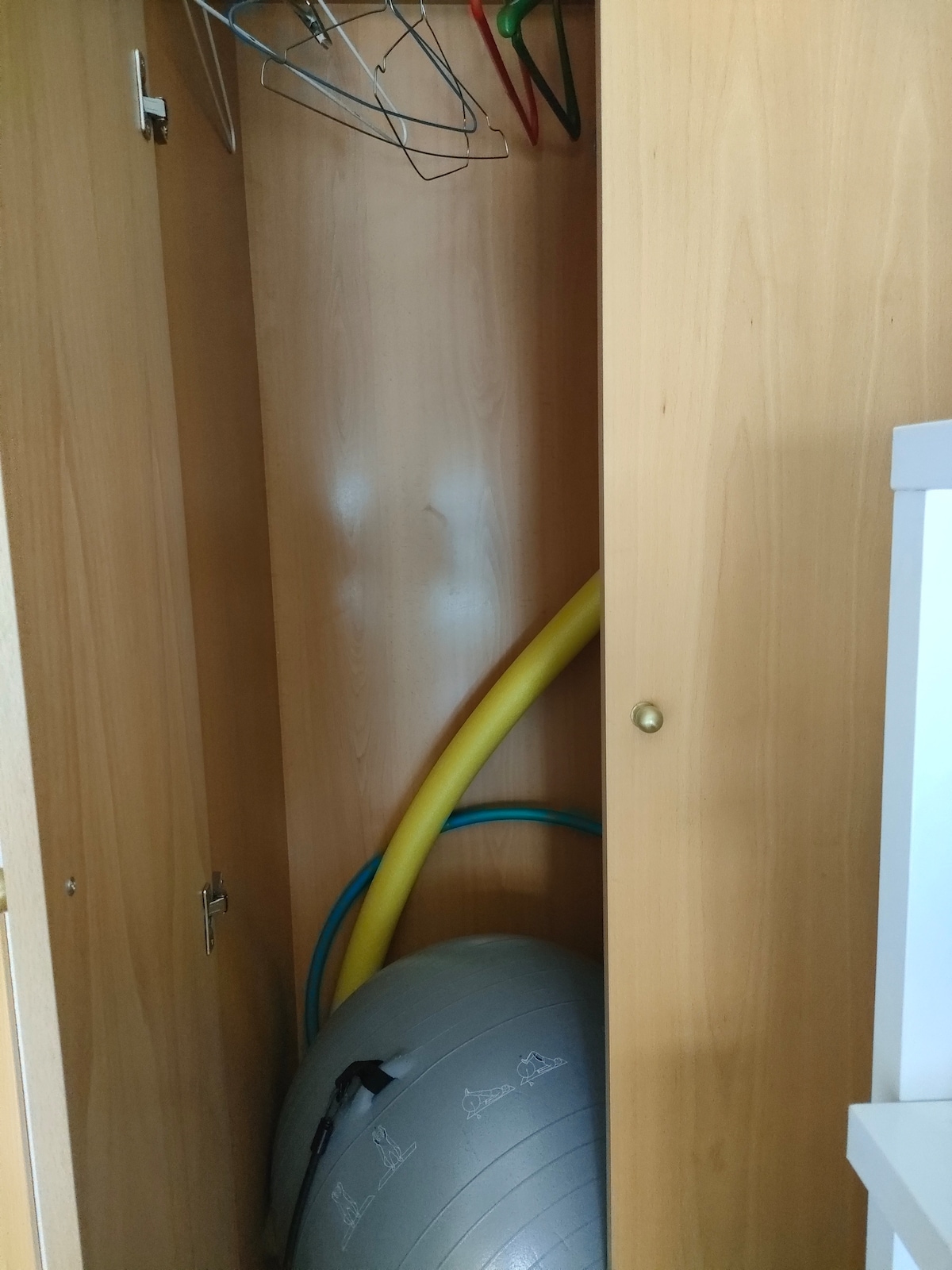 A wooden cupboard is shown, revealing a selection of items. A large exercise ball rests on the bottom, accompanied by colorful foam pool noodles. Several hangers are located towards the top, maintaining a tidy and organized appearance.