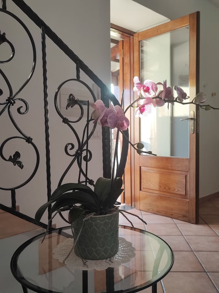 Dhoma e ndenjjes