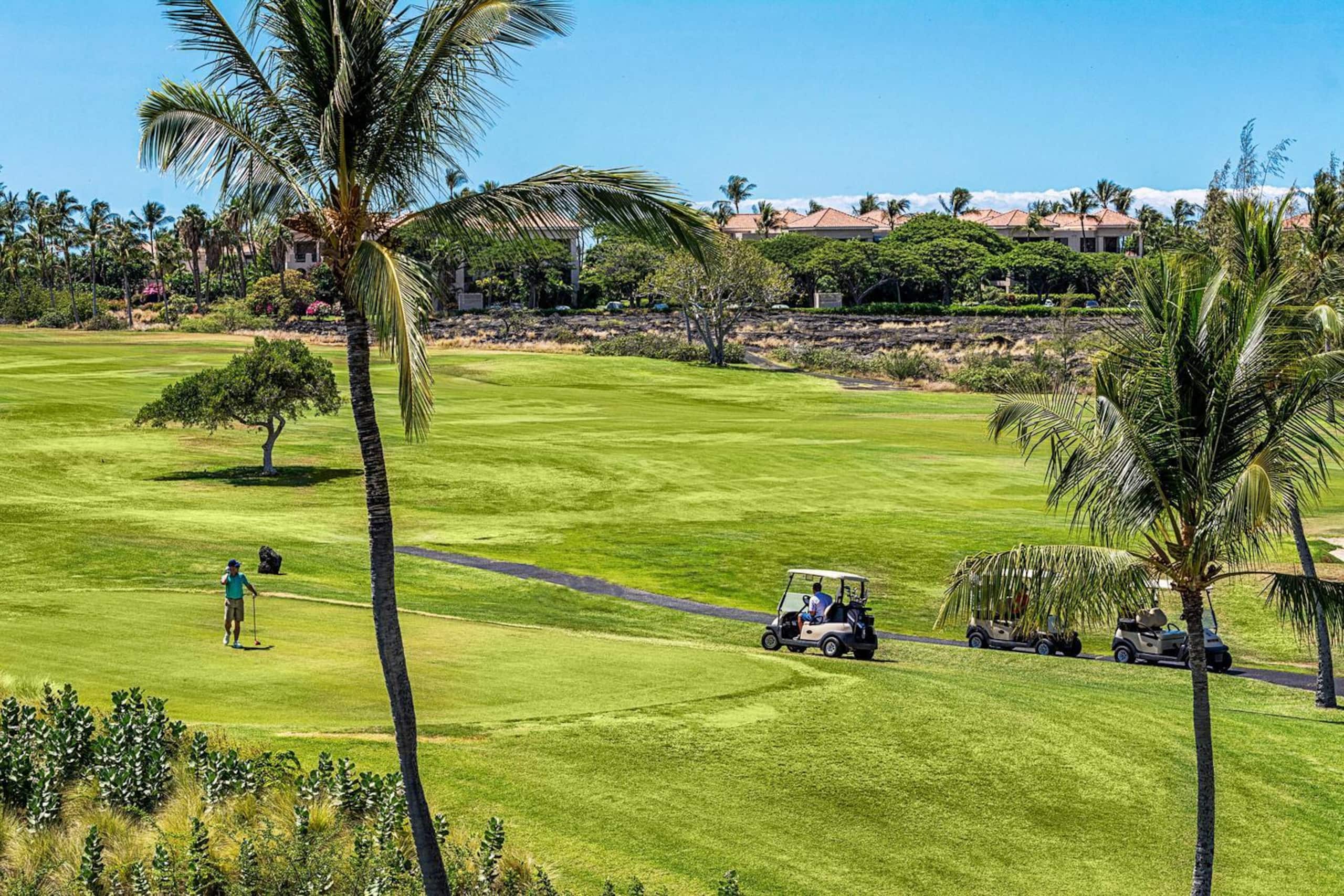 Fairway Villas At Waikoloa Beach ResortI24 Gorge - Photo 40