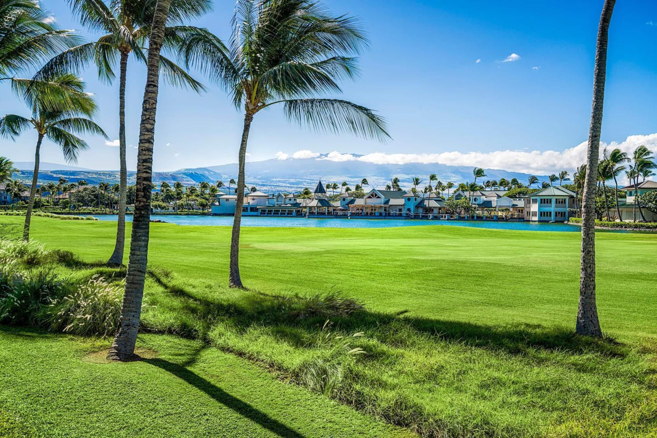 Fairway Villas At Waikoloa Beach ResortI24 Gorge - Photo 45