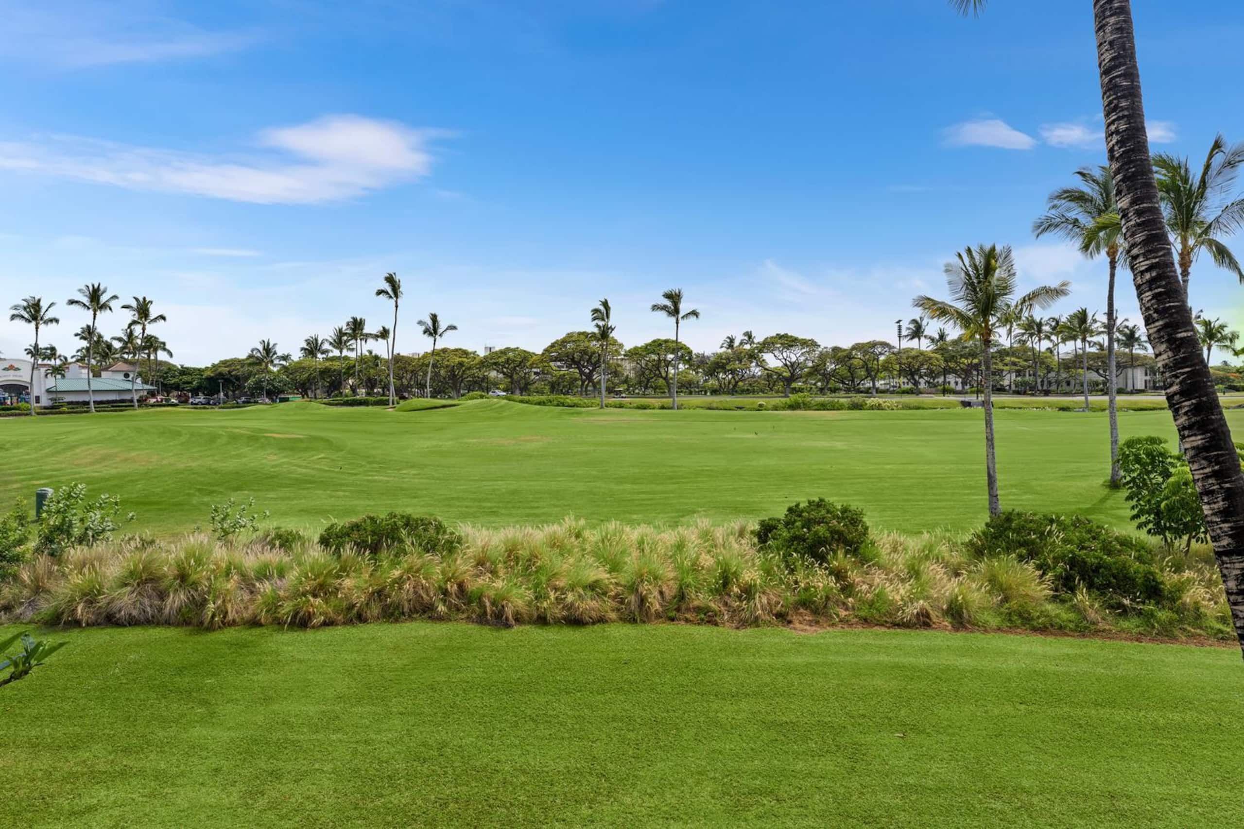 Fairway Villas At Waikoloa Beach ResortI24 Gorge - Photo 37