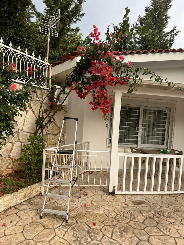 Apartment
Villa - Dhërmi