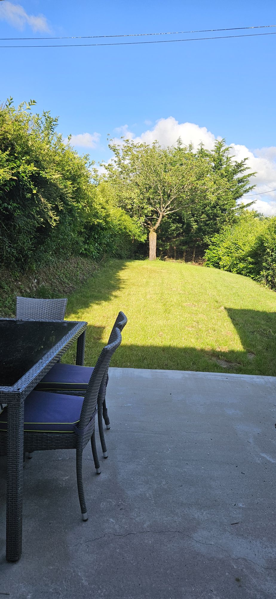 A patio area is visible, featuring a dark wicker dining set with chairs arranged around a rectangular table. Green grass extends towards a small tree, while a line of bushes provides privacy. The sky appears bright with a few scattered clouds.