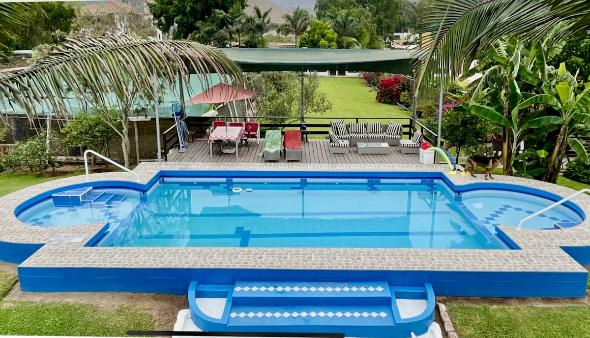 An outdoor pool is surrounded by lush greenery and tropical plants. Comfortable lounge chairs are arranged near the pool, with a shaded seating area in the background. The deck offers ample space for relaxation, and the overall scene captures a serene atmosphere.