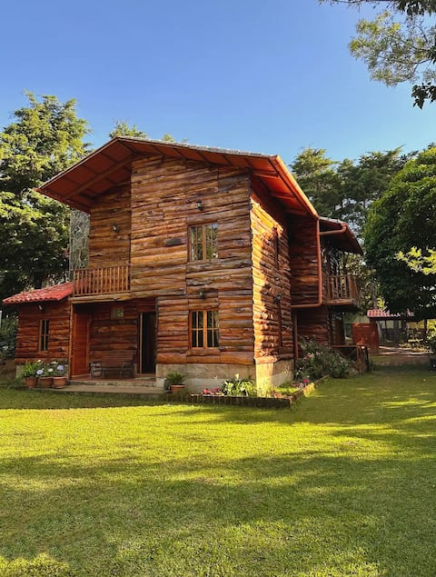 Beautiful Cabin in The Woods