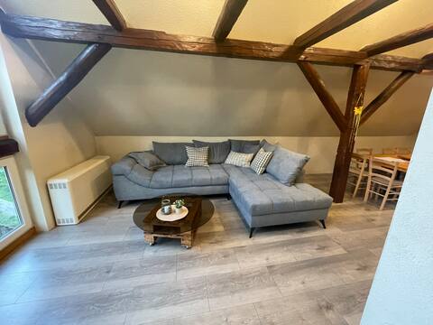 Successful Airbnb property: Vacation home by the creek in Oberharz Am Brocken