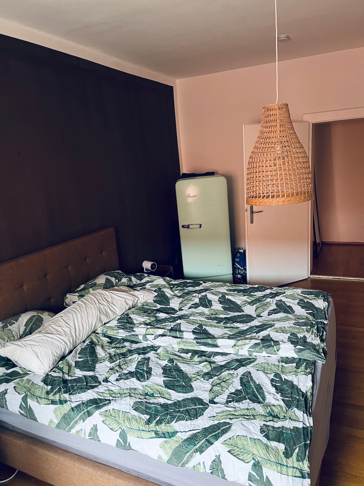 Large apartment in the center