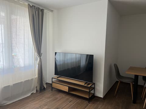 Successful Airbnb property: Charming apartment near the airport and Zurich City in Zurich