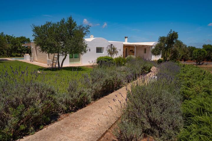 VILLA EVA, private villa with infinity pool gallery image 5