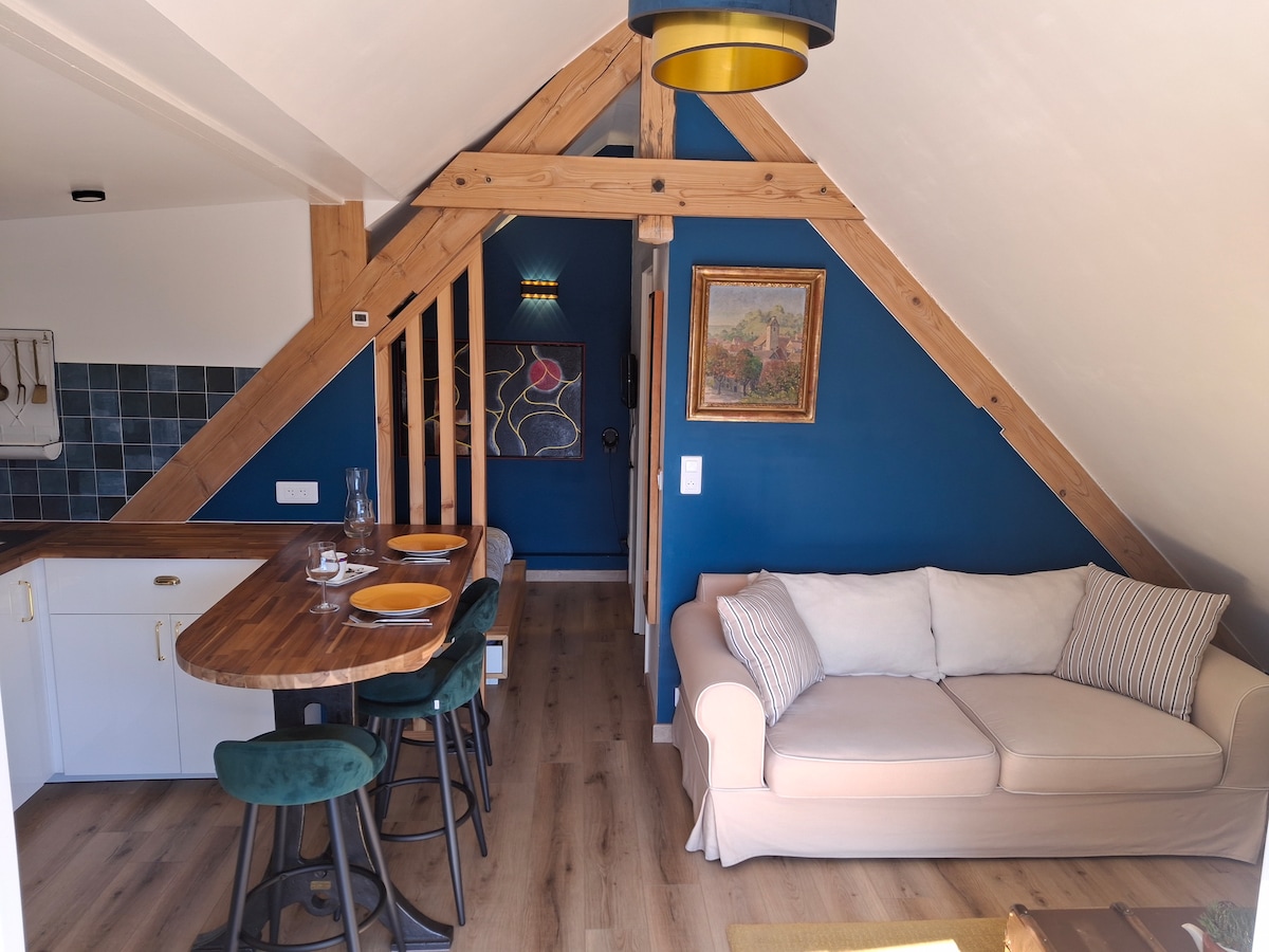 Proprietà Airbnb di successo: Super studio "C'Chou" a Lingolsheim