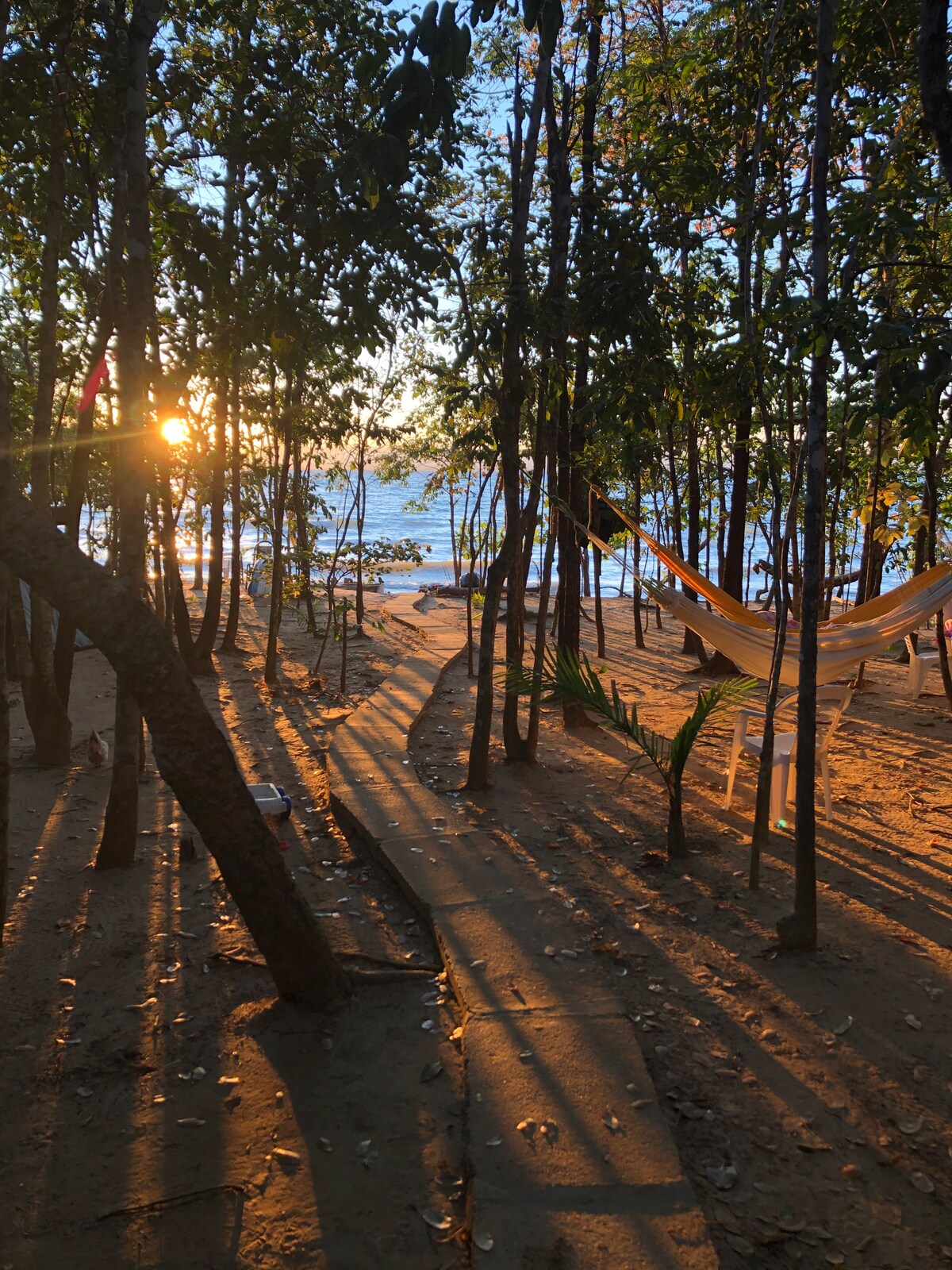 A serene outdoor scene is captured, featuring a hammock suspended between trees. Sunlight filters through the foliage, casting long, soft shadows on the sandy ground. The calming presence of the nearby water is visible in the background.