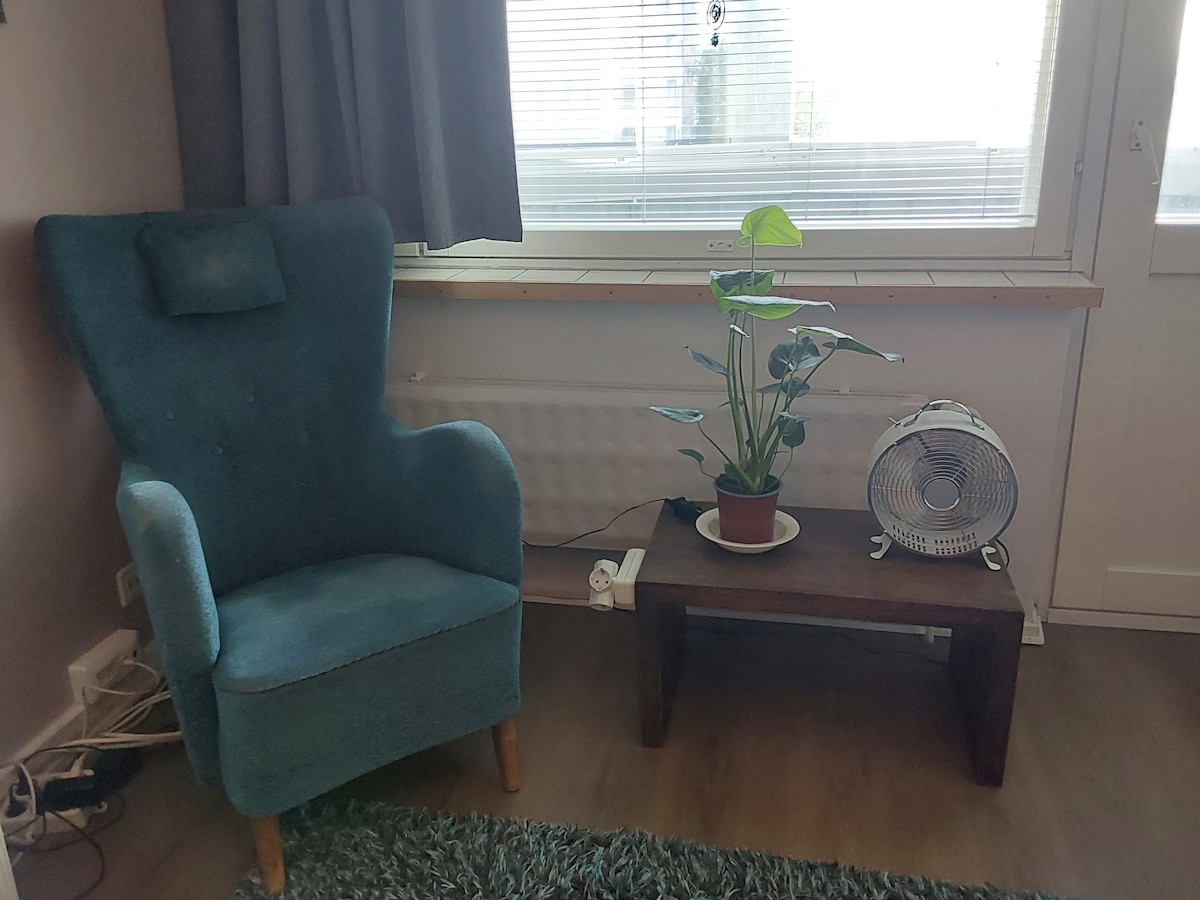 A comfortable chair is positioned next to a wooden table, featuring a small fan and a potted plant. Natural light filters through the window, with light-colored curtains partially drawn. The floor is covered with a soft rug, enhancing the cozy setting.