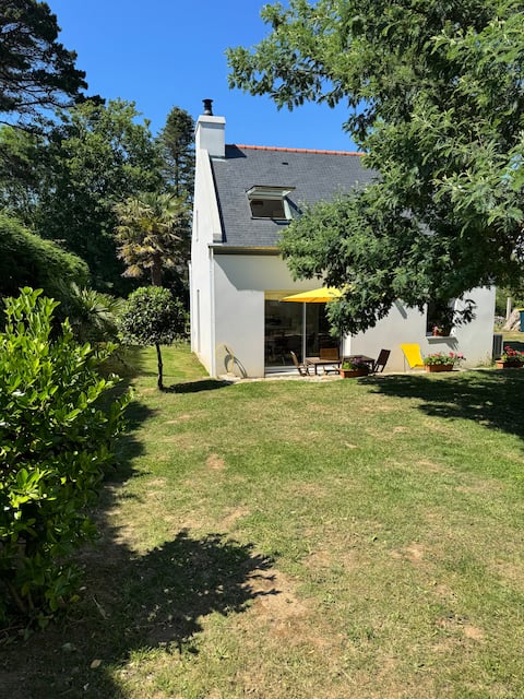 Modern house with garden