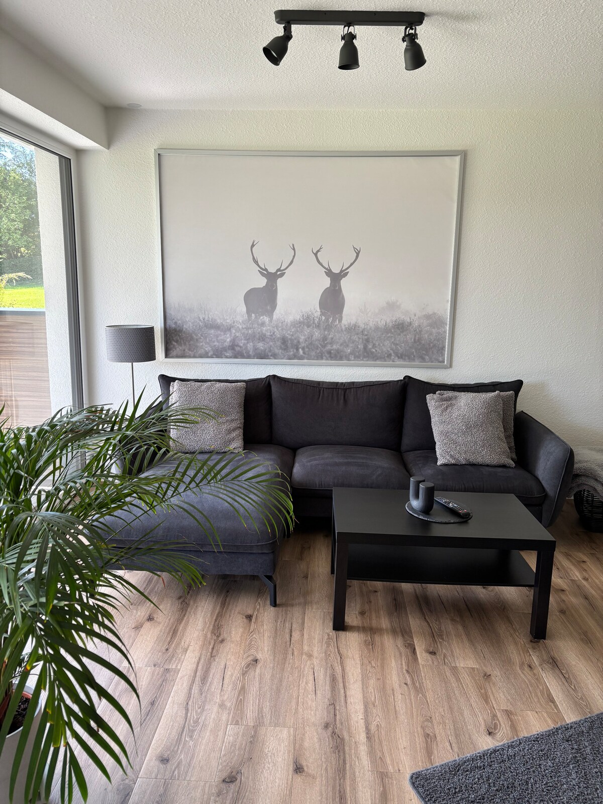 Erfolgreiche Airbnb-Immobilie: Apartment 66 in Monschau
