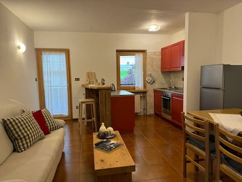 Top performing Airbnb: 2-bedroom apartment in Cadore in Pieve Di Cadore