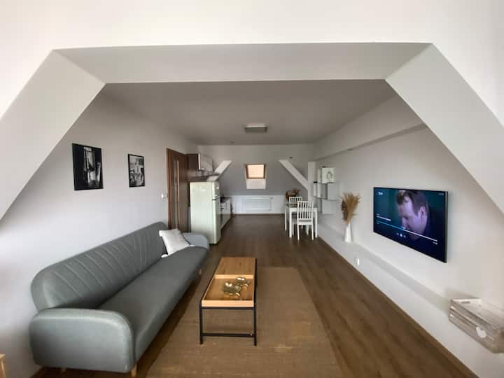 ČErný Tulipán - Apartmán 6 - Pilsen