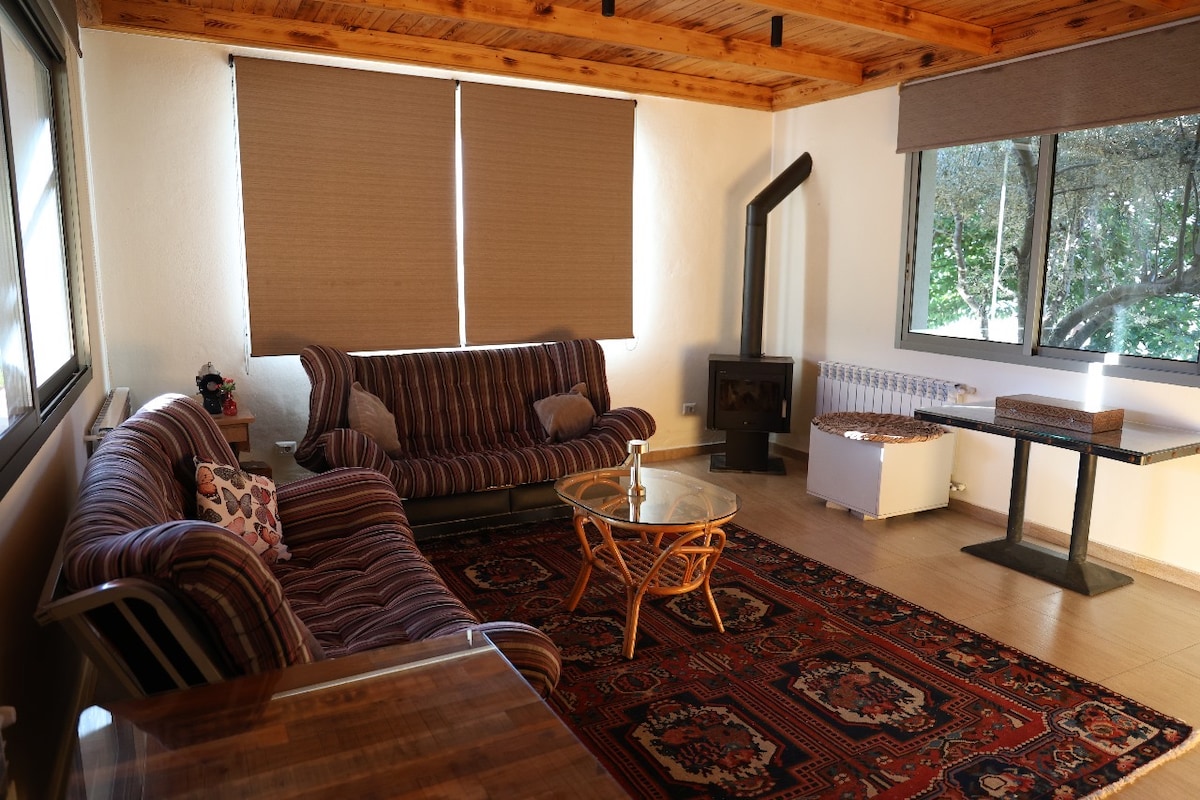 A cozy living area features a striped sofa and a patterned chair, complemented by a coffee table made of wicker. A wood-burning stove is positioned near large windows dressed with shades, allowing natural light to brighten the space.