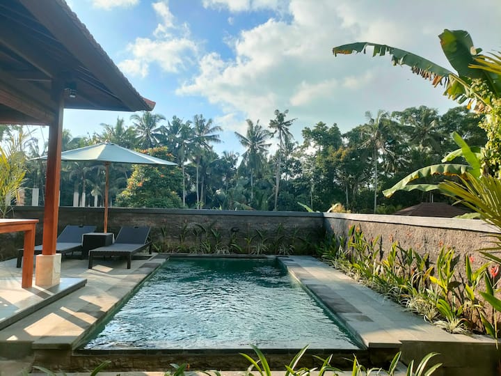 New 1br Private Pool Honeymoon Villa - Ubud